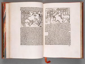 モーダス王と女王の比率の書